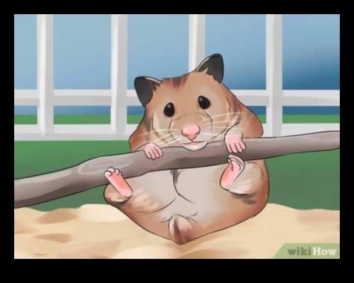 Hamster Hobileri: Evcil Hamsterların Benzersiz Yeteneklerini Keşfetmek