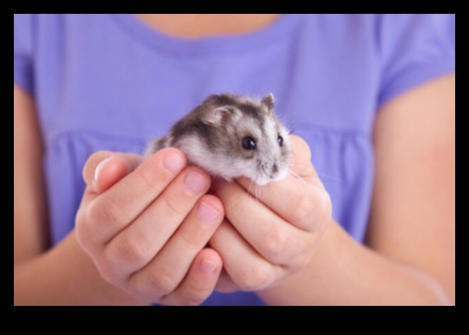 Hamster Hobileri: Evcil Hamsterların Benzersiz Yeteneklerini Keşfetmek