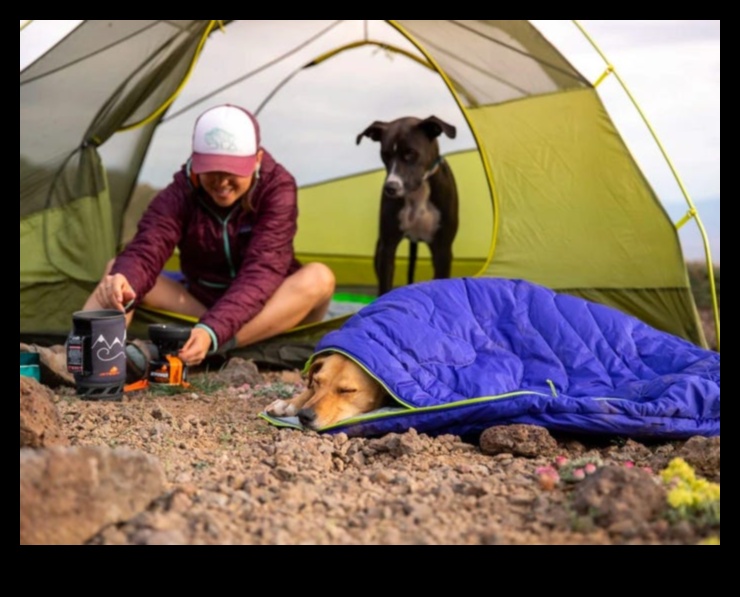 Köpek Kampı Devam Ediyor: Açık Hava Keşfinin Genişletilmesi