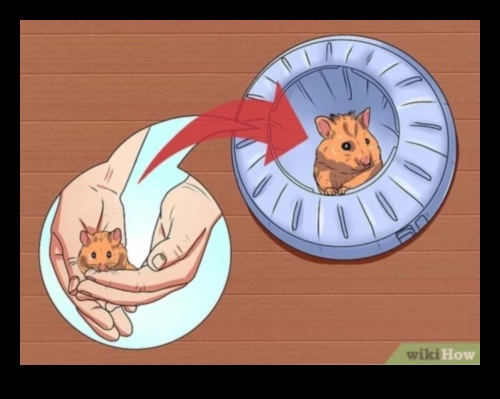 Hamster Hijyen İpuçları: Temiz ve Mutlu Bir Yaşam Alanı Korumak