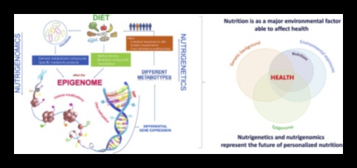 Genleriniz, Tabağınız: Nutrigenomik ile Beslenmenin Geleceği