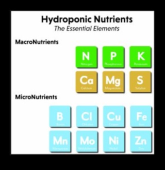 Mikronutrient Harikaları: Temel Elementlerin Dünyasını Keşfetmek