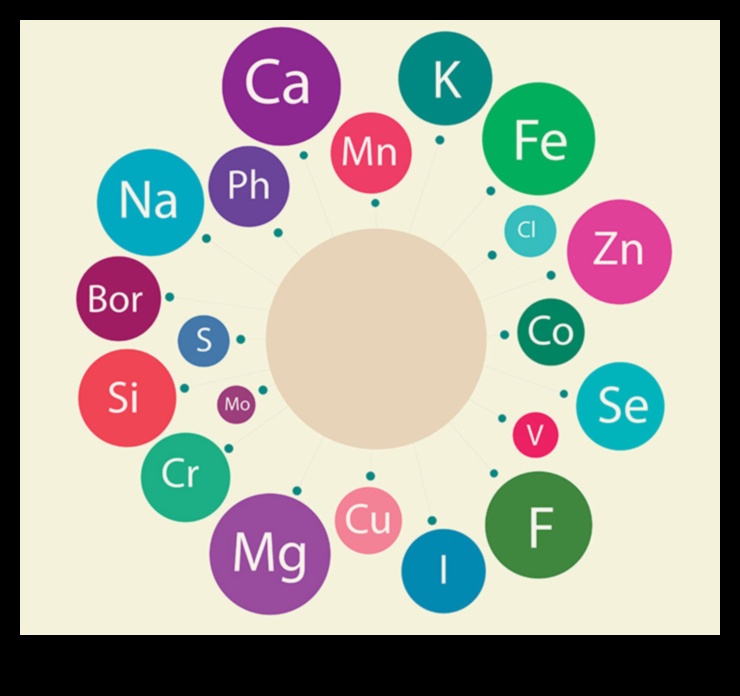 Mikronutrient Harikaları: Temel Elementlerin Dünyasını Keşfetmek