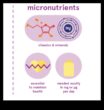 Mikronutrient Harikaları Sizi Siz Yapan Temel Elementler