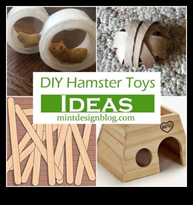 Hamster Diy oyuncakları devam etti: Çevre dostu ve geri dönüştürülebilir fikirler