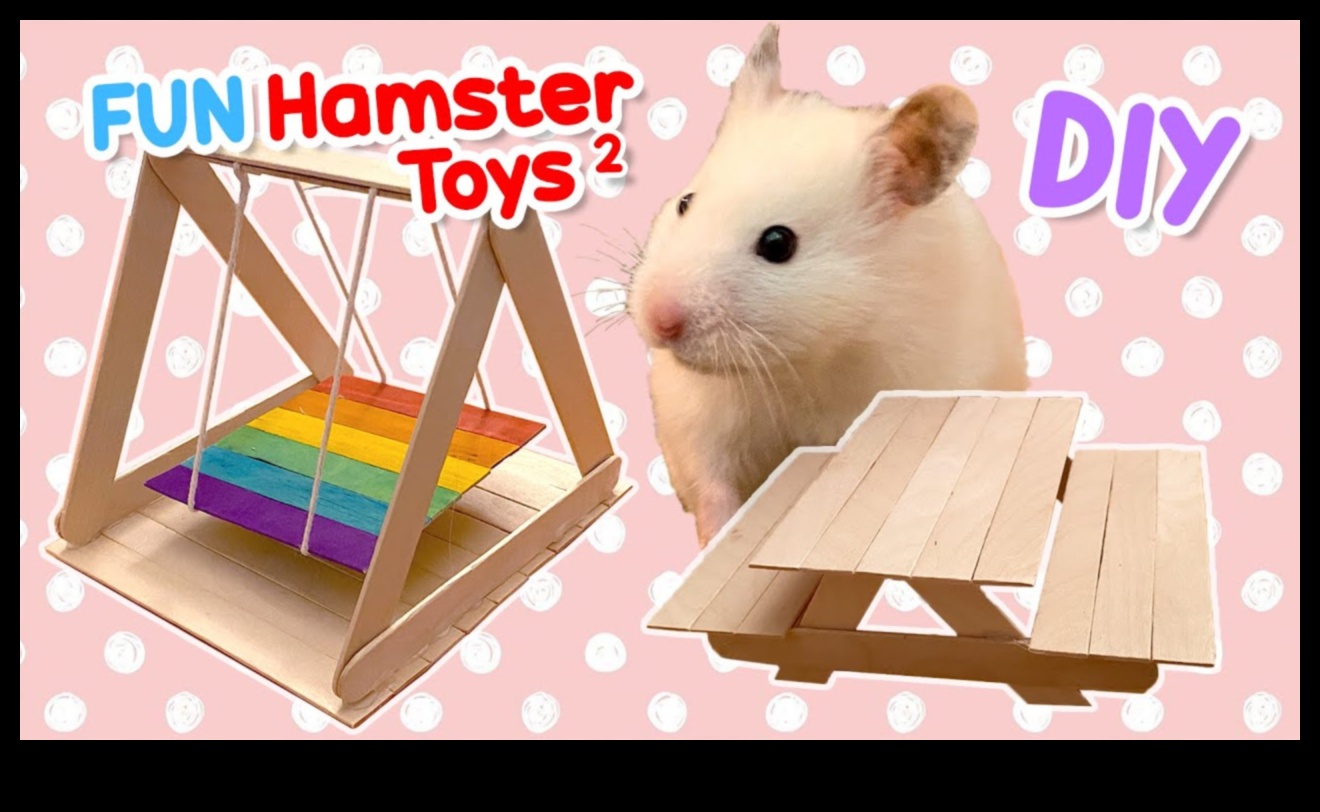 Hamster Diy oyuncakları devam etti: Çevre dostu ve geri dönüştürülebilir fikirler