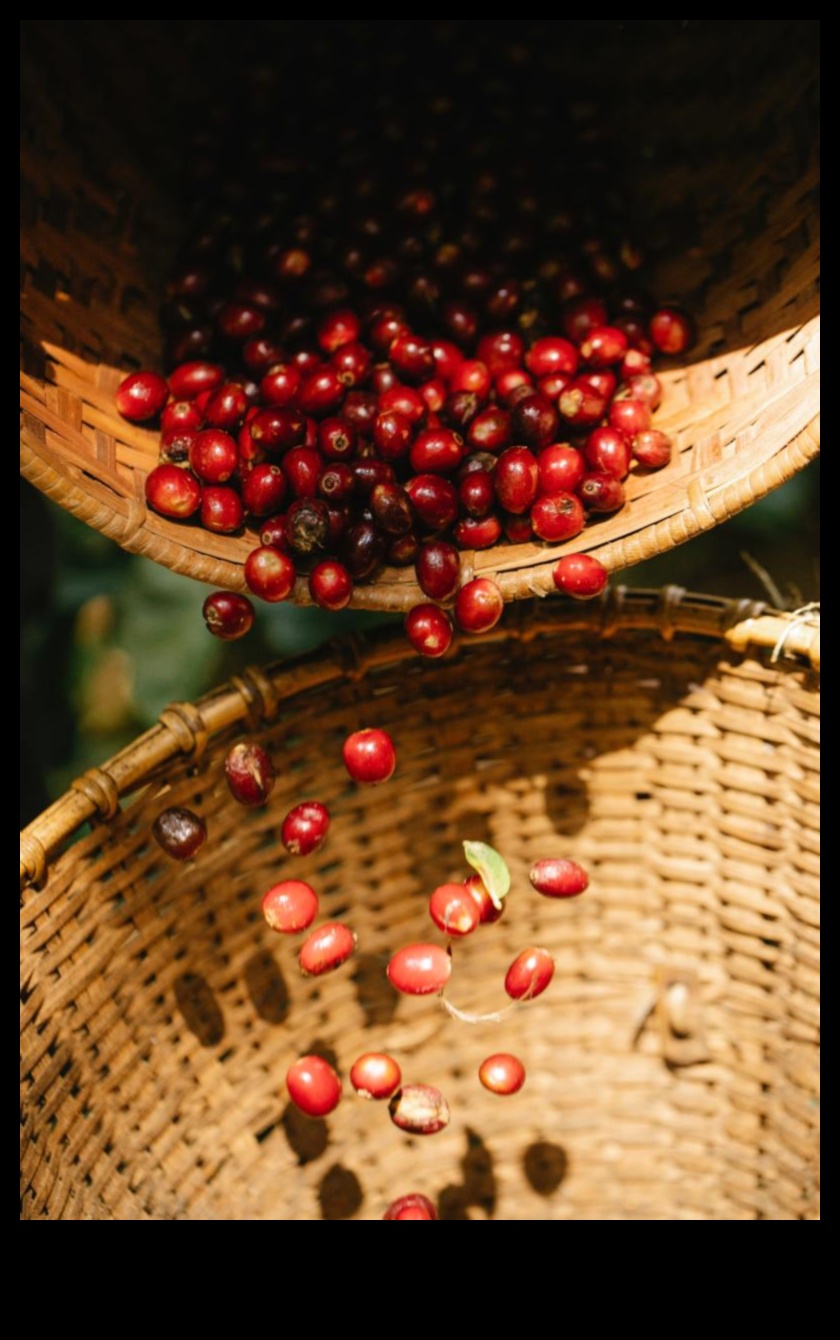 Berry Bonanza: Lezzetli meyve suları dünyasına dalmak