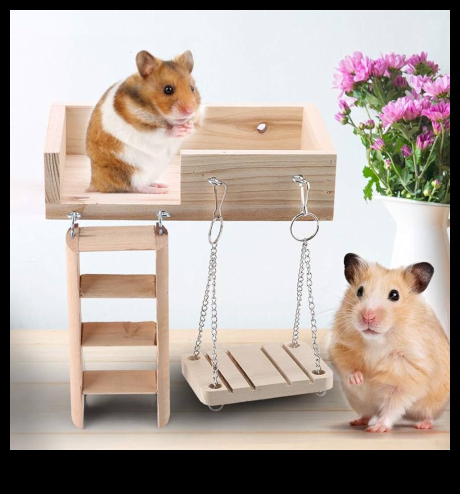 Hamster Diy oyuncakları devam etti: Çevre dostu ve etkileşimli fikirler