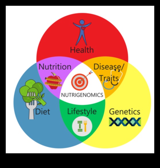 Her Isırda Genetik Bilgelik: Nutrigenomics Açıklandı