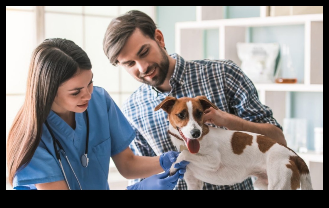 Köpek Diş Bakımı devam etti: Düzenli kontrollerin önemi