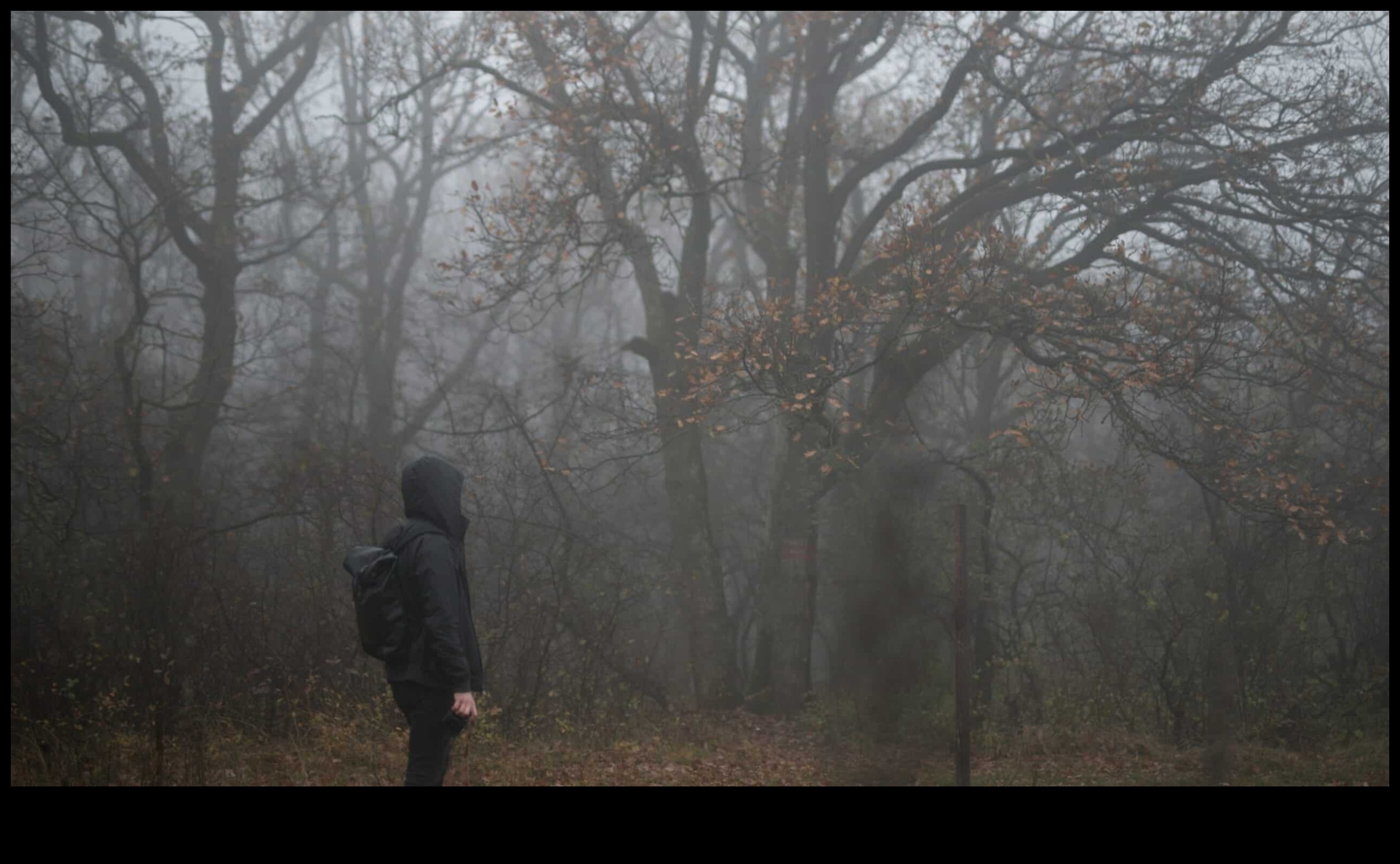 Foggy Fantasia: Atmosferik ve Gizemli Çekimler için Teknikler