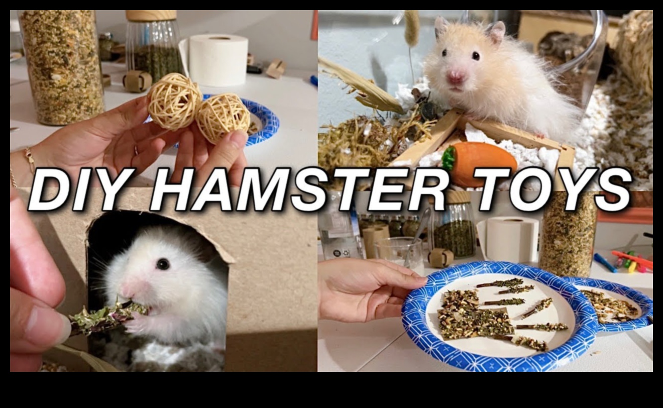 Hamster Zenginleştirme Fikirleri Devam: Stimülasyon için Duyusal Etkinlikler