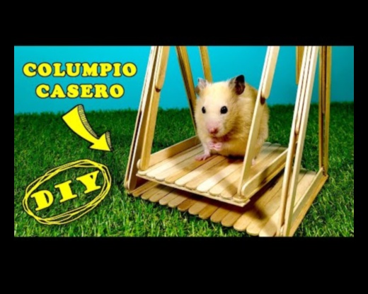 Hamster Diy oyuncakları Çevre dostu ve etkileşimli fikirler devam etti