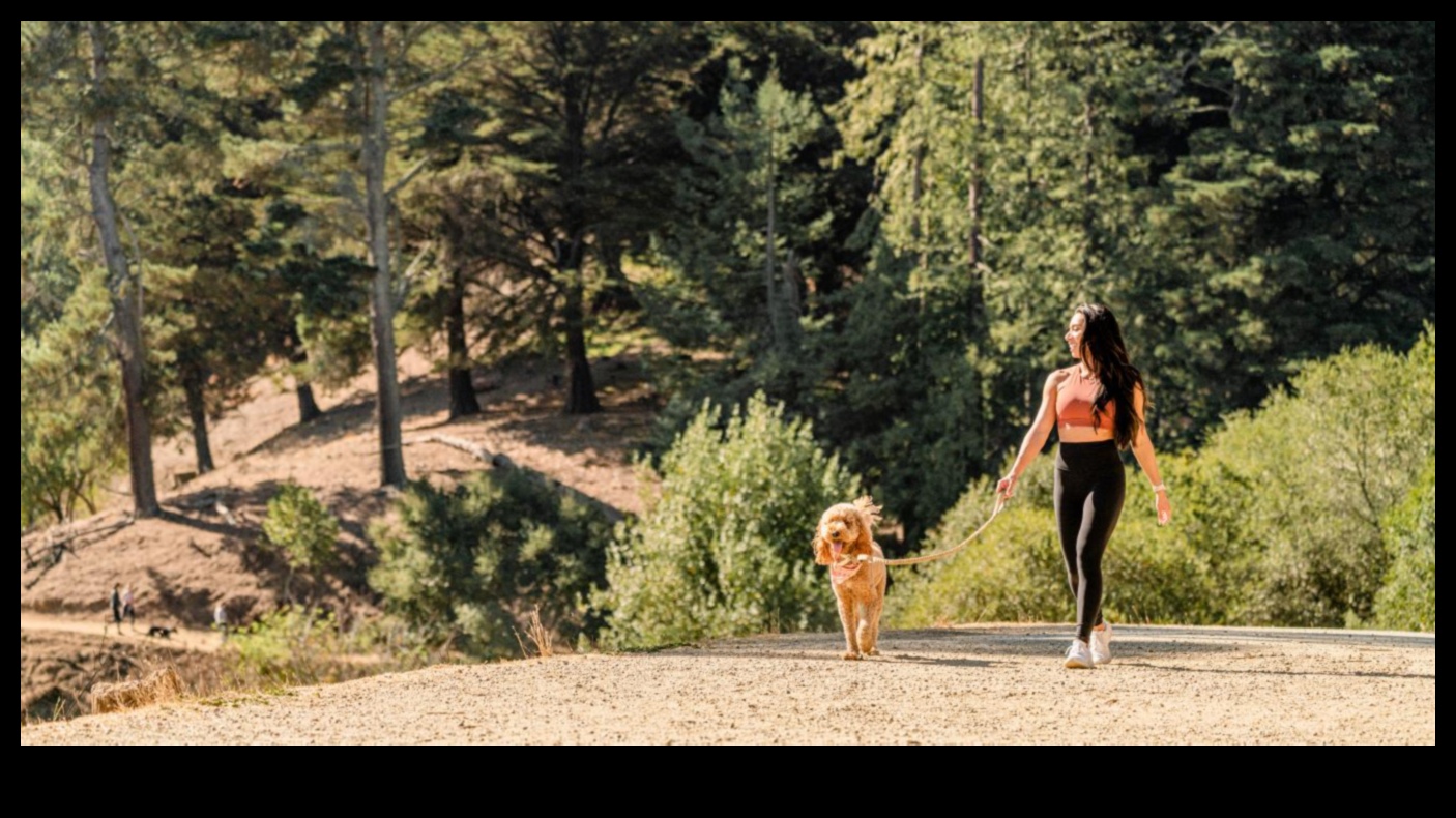 Parkta Bir Yürüyüş: Köpeğinizle Açık Hava Maceralarını Keşfetmek