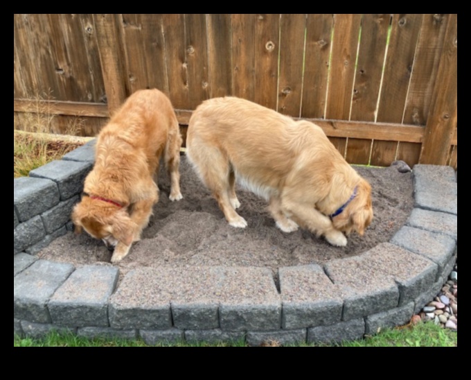 Köpek Kazma Günü: Köpek eğlencesi için bir kazma çukuru yaratmak